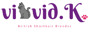 ブリティッシュの子猫販売を行うペットショップやブリーダーをお探しの方は兵庫県尼崎市の当猫舎へ。