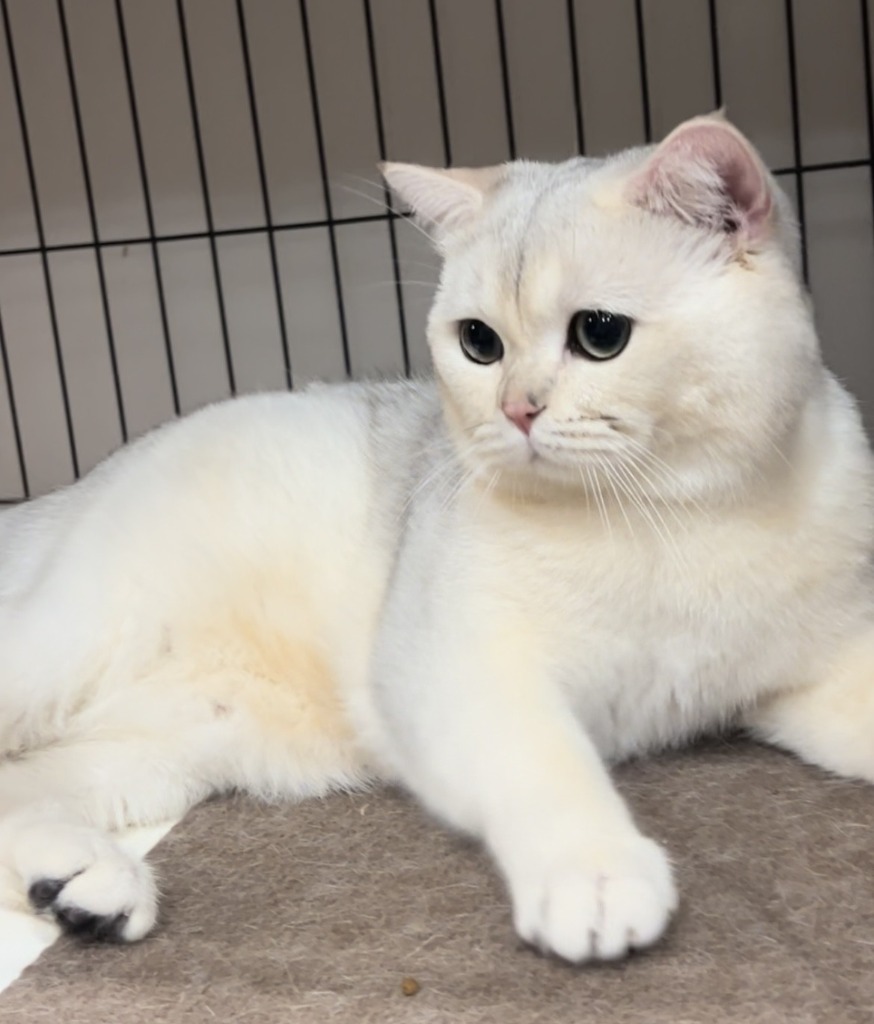 見学前にご確認お願いします。